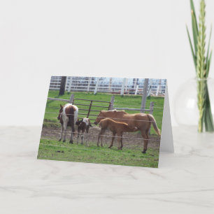 Nursing Foals Card