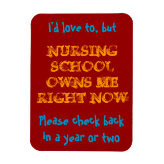 Nursing school owns me magnet