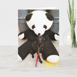 Nurture Not Nature Card