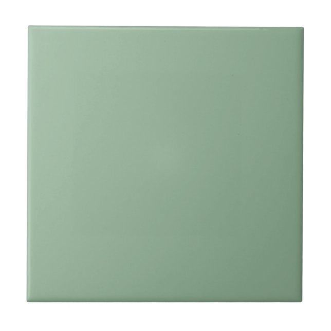 Nurturing Green Square Kitchen and Bathroom Tile (Front)