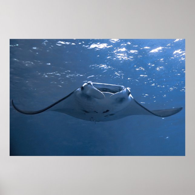 Nusa Penida Manta Poster (Front)