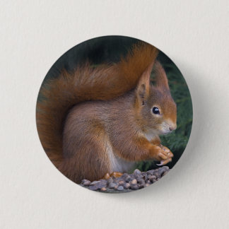 Nut Brunch Badge