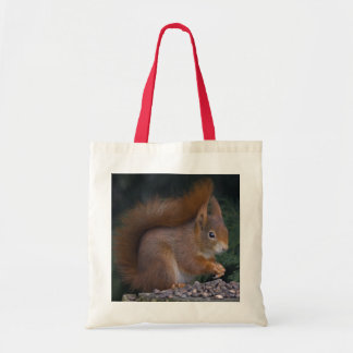 Nut Brunch Bag