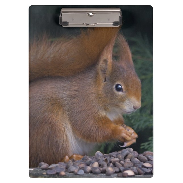 Nut Brunch Clipboard (Front)