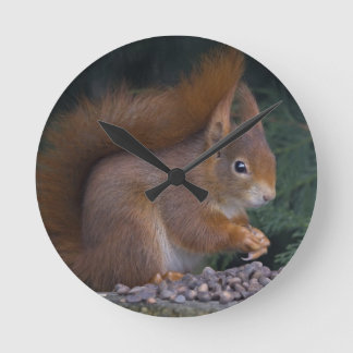 Nut Brunch Clock