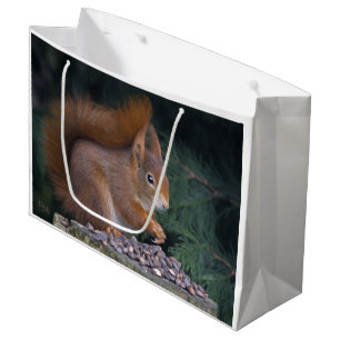 Nut Brunch Gift Bag