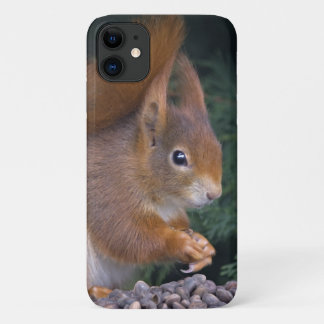 Nut Brunch iPhone 11 Case