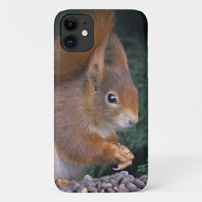 Nut Brunch iPhone 11 Case (Back)