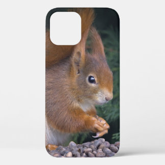 Nut Brunch iPhone 12 Case