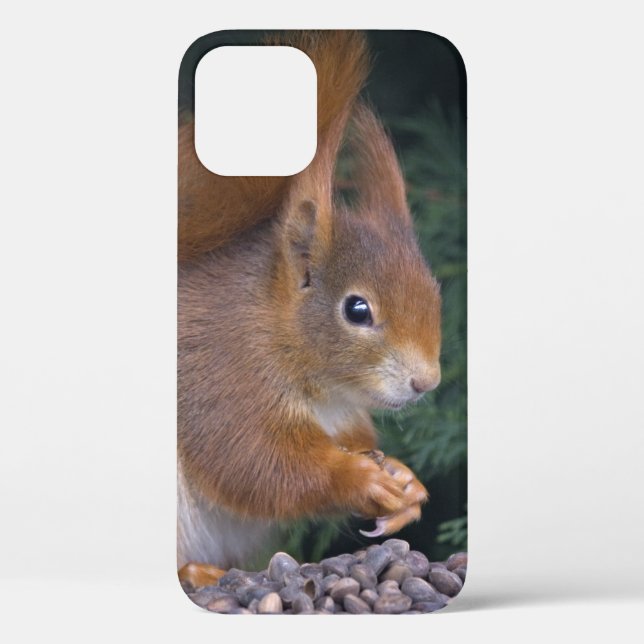 Nut Brunch iPhone 12 Case (Back)