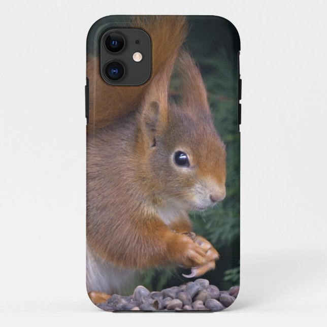 Nut Brunch iPhone 5 Case (Back)