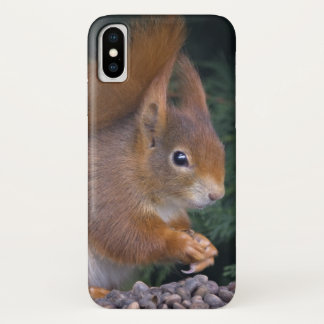 Nut Brunch iPhone X Case