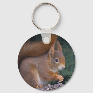 Nut Brunch Keyring
