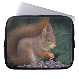 Nut Brunch Laptop Sleeve