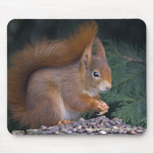 Nut Brunch Mousemat