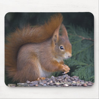 Nut Brunch Mousemat