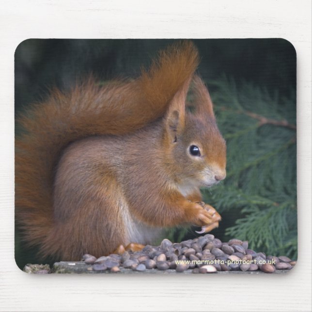 Nut Brunch Mousemat (Front)