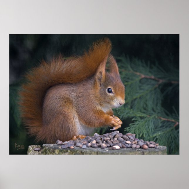 Nut Brunch Print (Front)