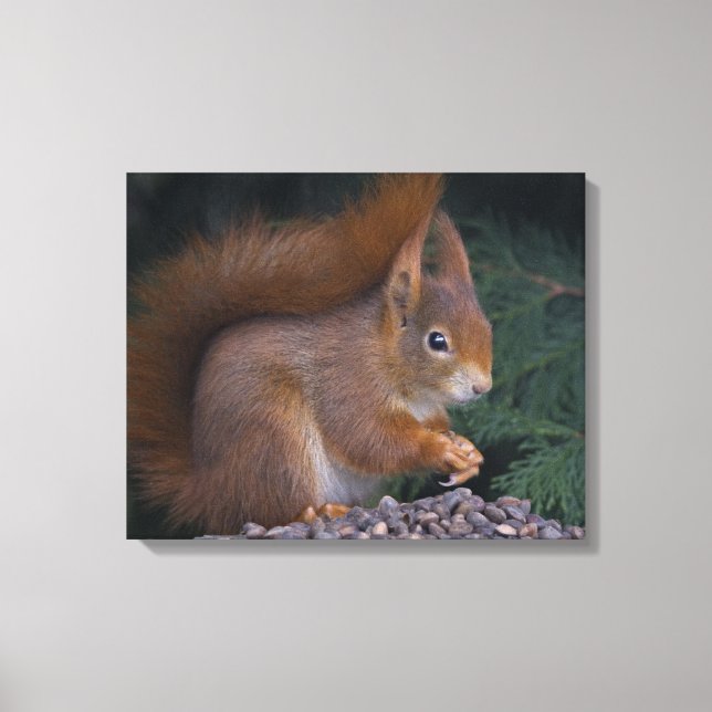 Nut Brunch Wrapped Canvas Print (Front)