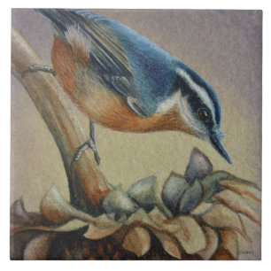 Nuthatch Bird and Sunflower Seeds Watercolor Art Tile