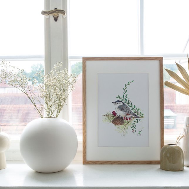 Nuthatch Bird Art Print (Beautiful Nuthatch Bird Art Print from Jenn's Emporium. )