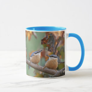 Nuthatch collage mug