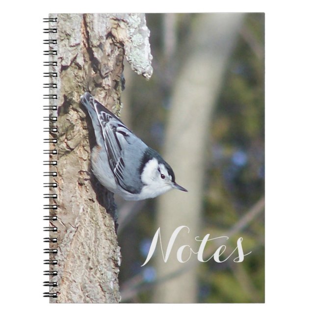 Nuthatch designer notebook (Front)