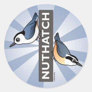 Nuthatch Fan Classic Round Sticker