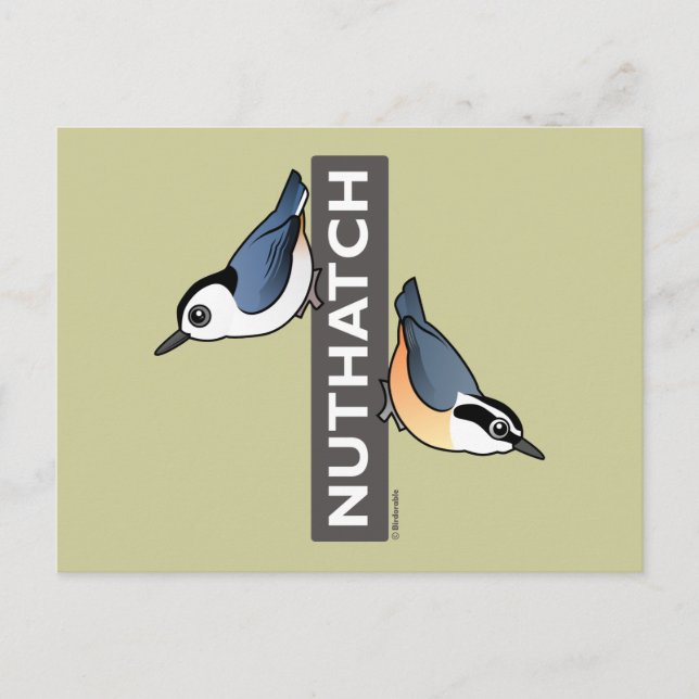 Nuthatch Fan Postcard (Front)