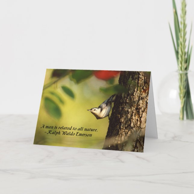 Nuthatch Greeting Card (Front)