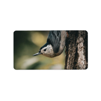 Nuthatch Label