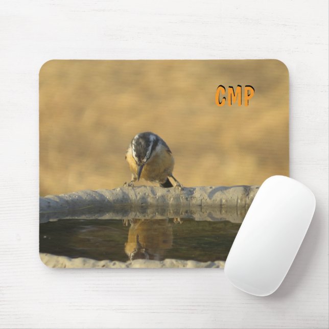 Nuthatch Looking at Reflection in Bird Bath Mouse Mat (With Mouse)
