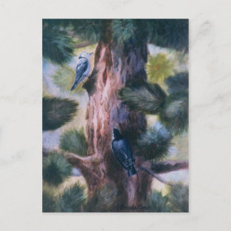 Nuthatch Love At First Sight Postcard
