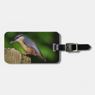 Nuthatch Luggage Tag