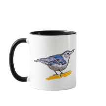 Nuthatch 