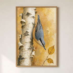 Nuthatch on a Birch Trunk Watercolour Poster