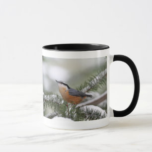 Nuthatch on Snowy Branch in Winter Mug