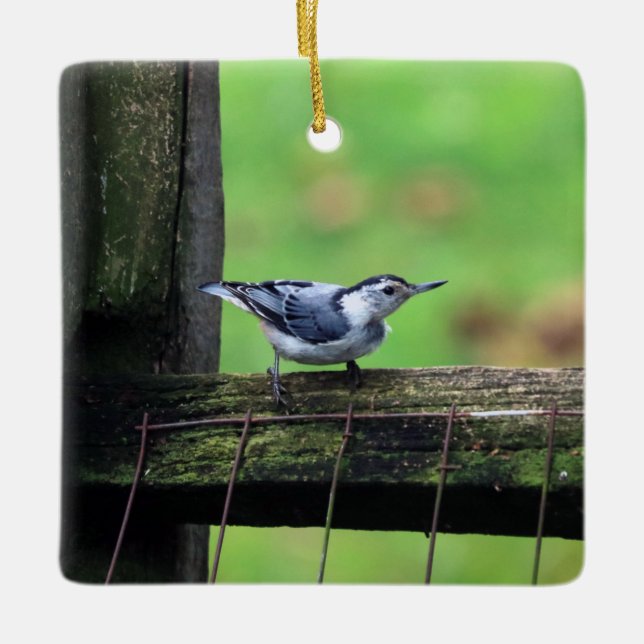 Nuthatch Ornament (Front)
