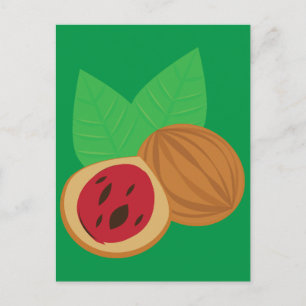 Nutmeg Postcard