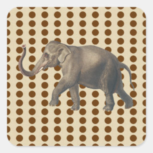 Nutmeg Spice Moods Dots with Elephant Square Sticker