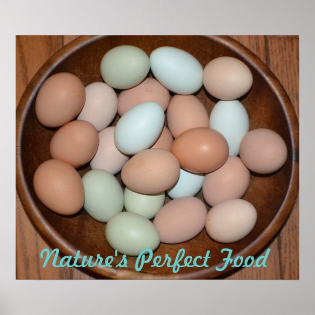 Nutritious Egg Poster (Front)