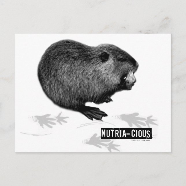 Nutritious Nutria Postcard (Front)