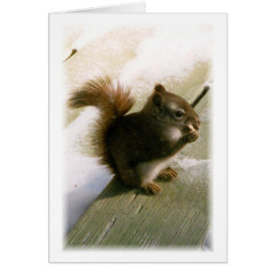 Nuts About You!!