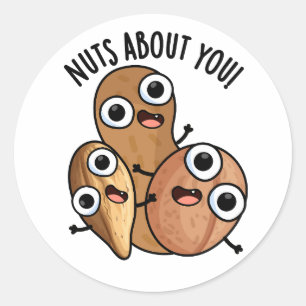 Nuts About You Funny Nut Puns  Classic Round Sticker
