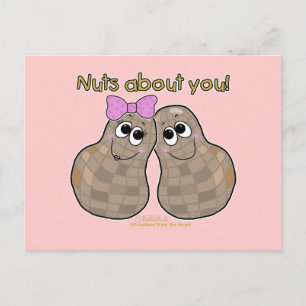 Nuts About You! Postcard