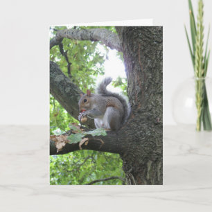 Nuts about you squirrel Valentine card