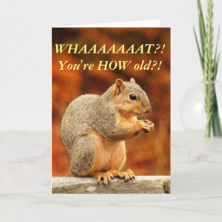 Nuts! Funny Birthday Card