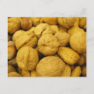 Nuts Postcard 001