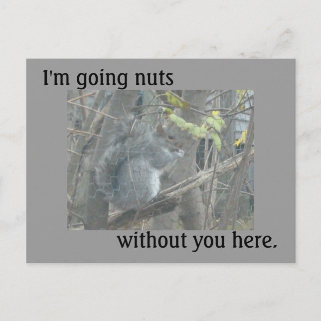 Nuts Without You Postcard (Front)