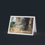 Nutty Birthday Squirrel Personalised Card<br><div class="desc">Cute Squirrel.  Inside message fully customisable.</div>